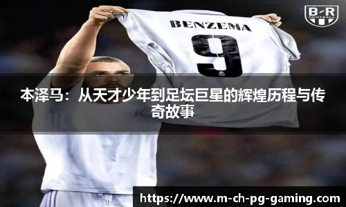 pg模拟器官网下载